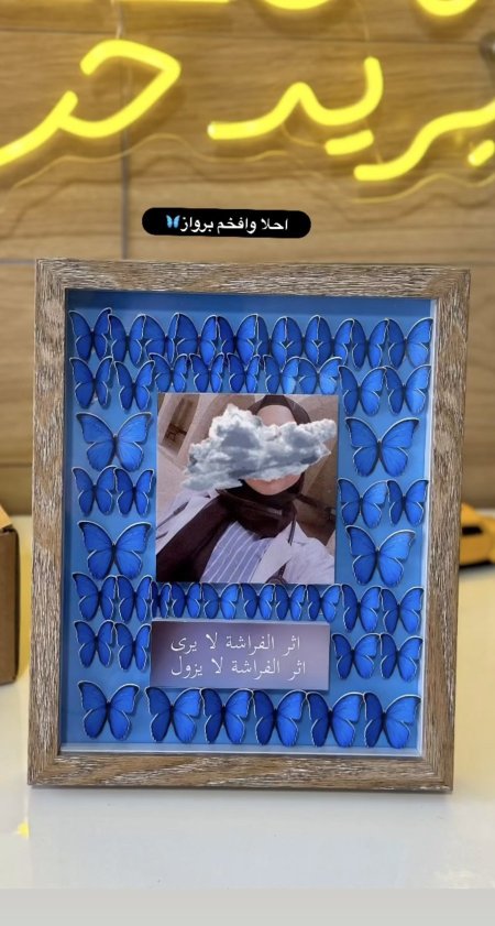 برواز الفراشات البارز